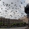 Guadalajara 25